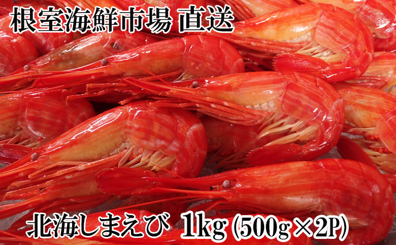 ＜12月10日決済分まで年内配送＞北海しまえび500g×2P B-14120