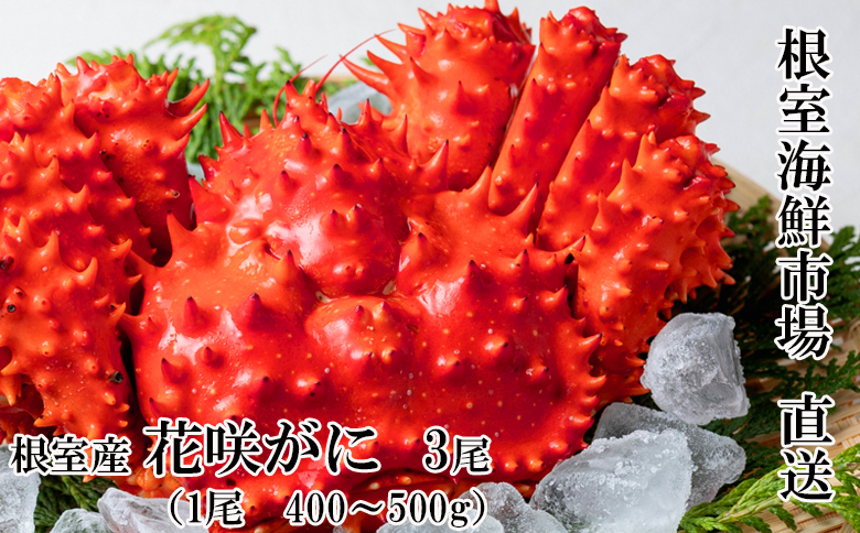 ＜12月10日決済分まで年内配送＞【北海道根室産】花咲ガニ400～500g×3尾 B-14122