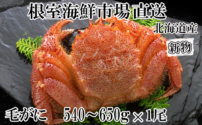 ＜12月10日決済分まで年内配送＞ボイル毛がに540～650g×1尾 B-14123