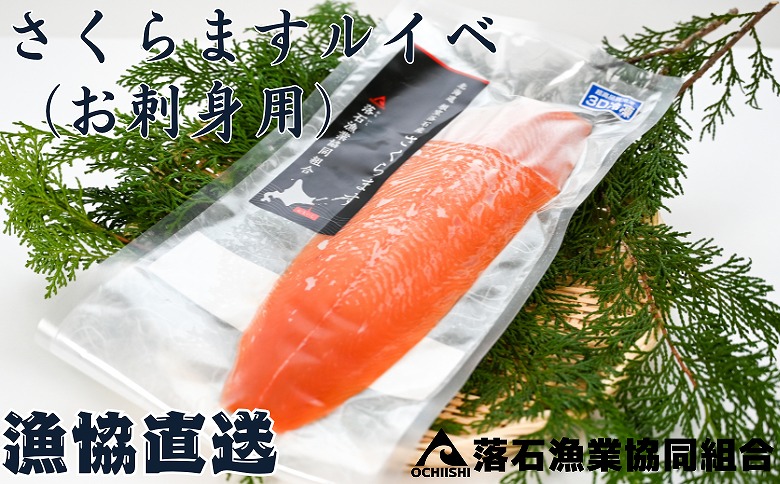 【北海道根室産】さくらますルイベ(刺身用)半身×4枚(計1.2～1.5kg) B-20003