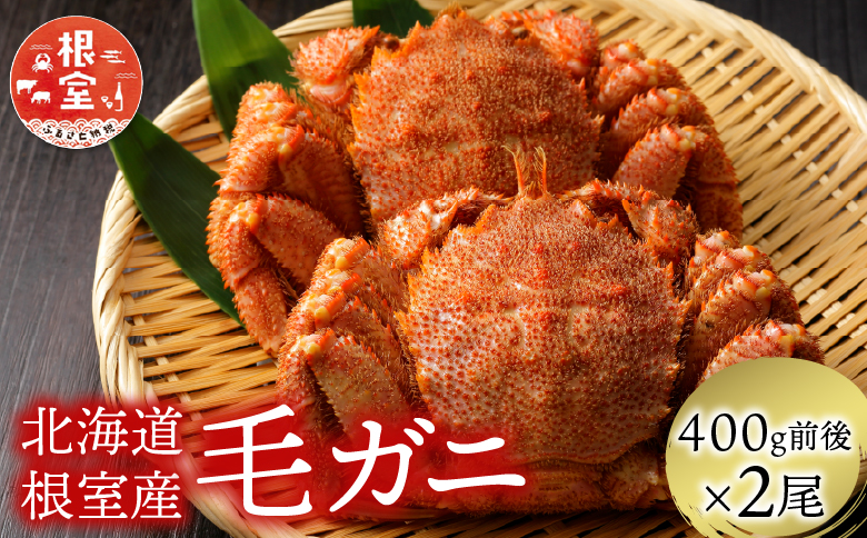 ＜12月21日決済分まで年内配送＞【北海道根室産】毛がに400g前後×2尾 B-21003
