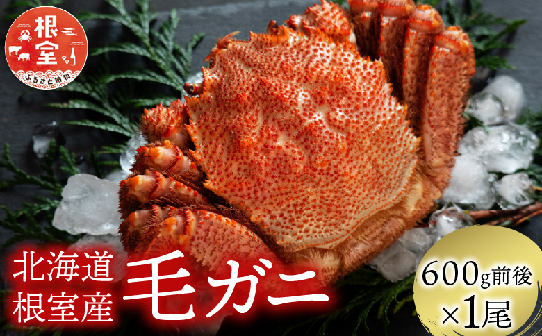 ＜12月21日決済分まで年内配送＞【北海道根室産】毛がに600g前後×1尾 B-21006