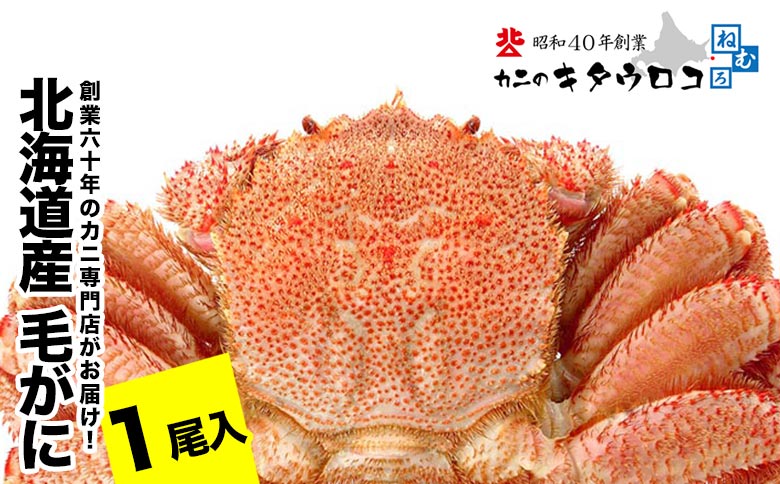 【12/31決済分まで1月中配送】 毛がに550g～650g前後×1尾 B-25027