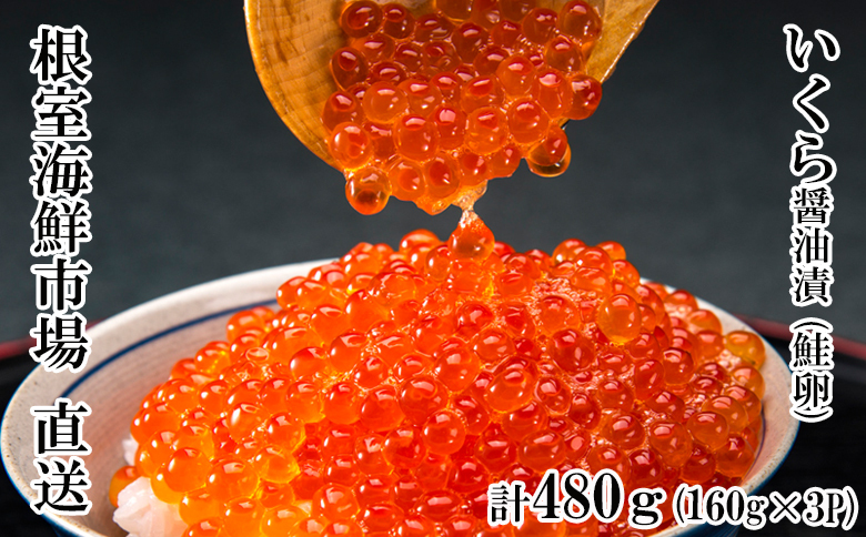 ＜12月10日決済分まで年内配送＞根室海鮮市場＜直送＞いくら醤油漬160g×3P(計480g) B-28012