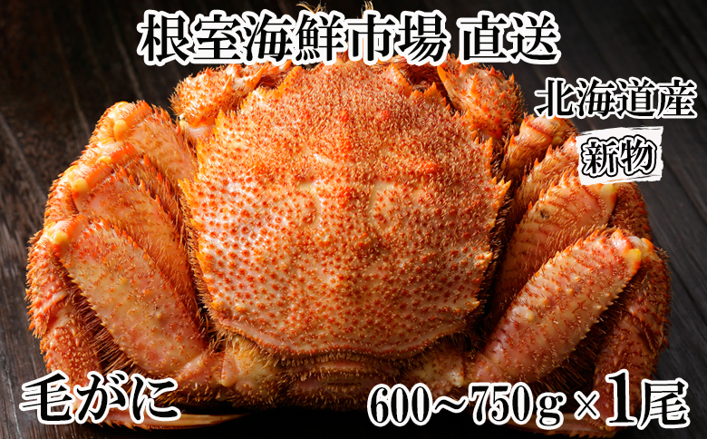 ＜12月10日決済分まで年内配送＞根室海鮮市場<直送>ボイル毛がに600～750g×1尾 B-28124