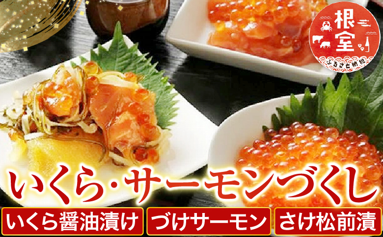 <鮭匠ふじい>いくら・サーモンづくし B-42016