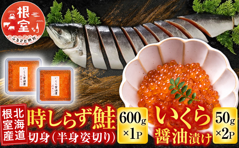 【北海道根室産】時しらず鮭600g×1P・いくら醤油漬け50g×2P B-42106