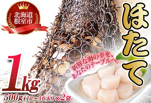 ＜12月21日決済分まで年内配送＞ほたて貝柱500g×2P(計1.0kg) B-45003