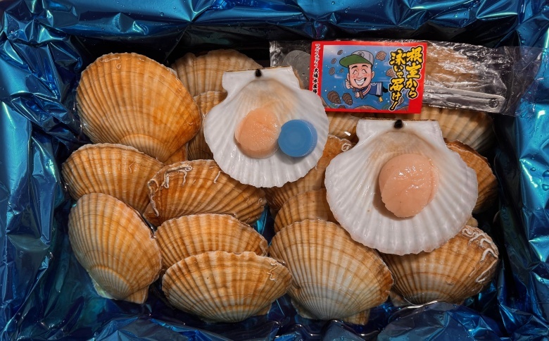 ＜12月21日決済分まで年内配送＞【北海道根室産】活ホタテ貝20枚(計3.5kg～4kg) B-45016