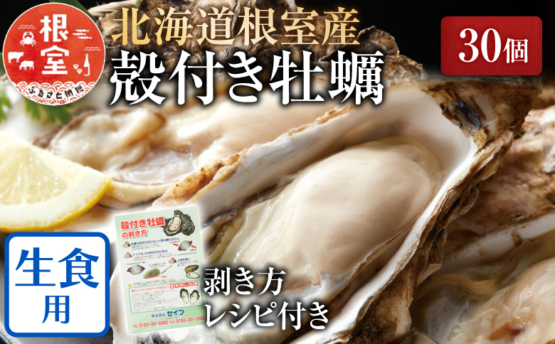 ＜12月21日決済分まで年内配送＞【北海道根室産】貝付き牡蠣30個[11月上旬以降発送] B-54006