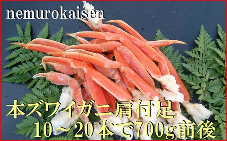 本ズワイガニ肩付足10～20本（計700g前後） B-57030