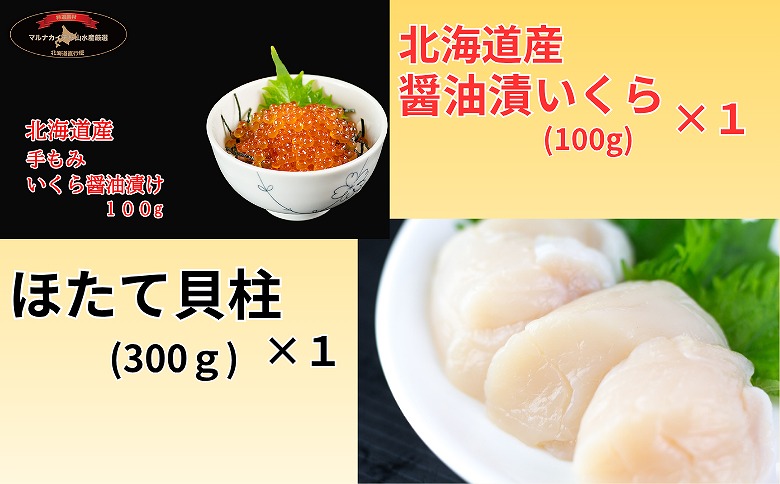 【北海道根室産】ほたて・いくらセット B-66008