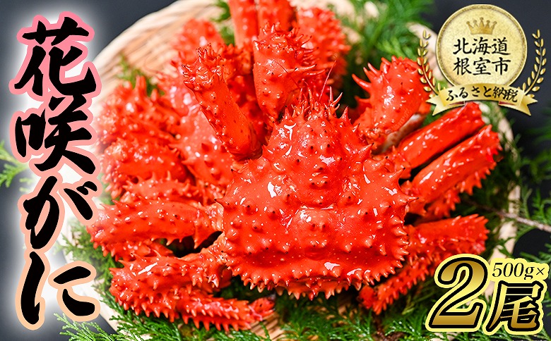【北海道根室産】花咲がに500g前後×2尾セット B-80004
