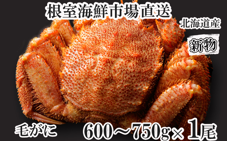 ボイル毛がに600～750g×1尾 C-11033