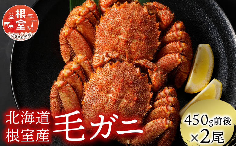 ＜12月21日決済分まで年内配送＞【北海道根室産】毛がに450g前後×2尾 C-21003