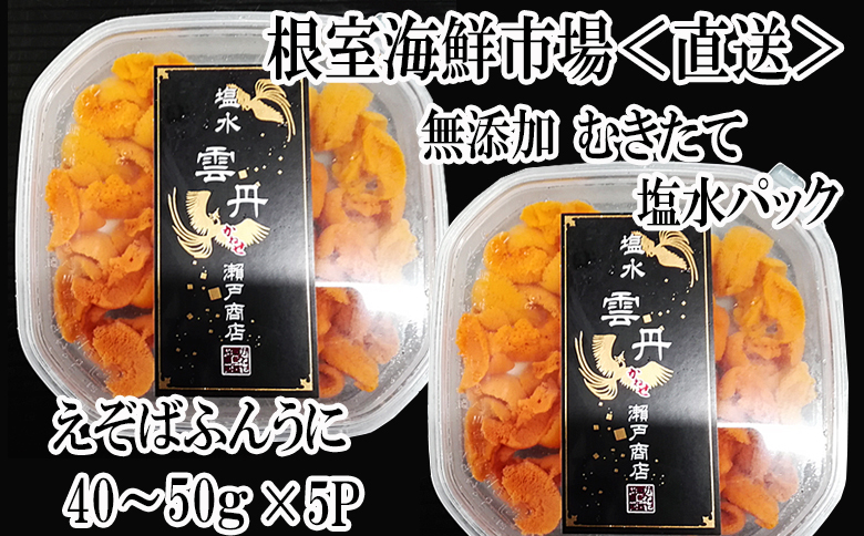 根室海鮮市場＜直送＞無添加むきたてエゾバフンウニ(赤系)塩水パック40～50g×5P[2026年1月中旬以降発送] C-28052