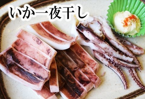 ＜12月17日決済分まで年内配送＞いか一夜干し2枚×8P C-32022