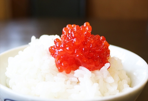 醤油筋子(紅子)250g×6P(計1.5kg) C-32033