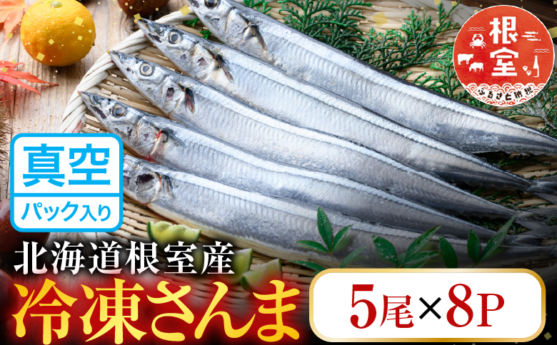 【北海道根室産】冷凍さんま40尾 C-36002