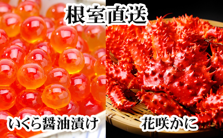 ＜12月21日決済分まで年内配送＞花咲かに300g前後～450g前後×3尾・いくら醤油漬け100g×2Pセット C-36023