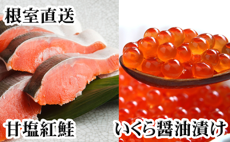 ＜12月21日決済分まで年内配送＞いくら醤油漬け100g×2P、紅鮭切身5切×4P C-70024