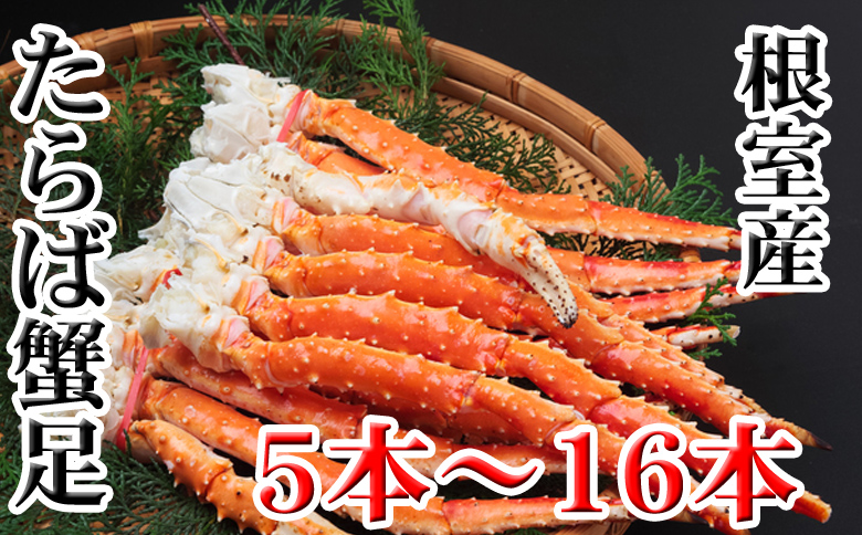 ＜12月21日決済分まで年内配送＞【北海道根室産】ボイルたらば蟹足5本～16本(計1～1.2kg) C-70077