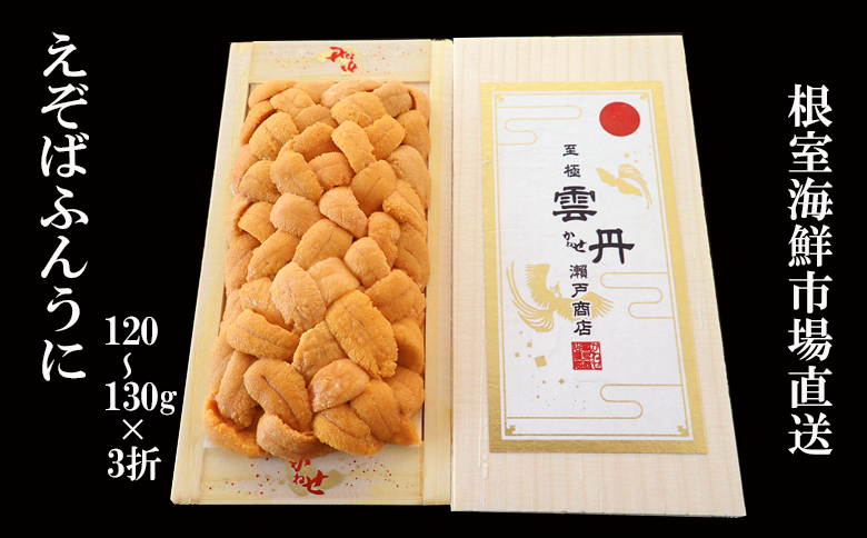 エゾバフンウニ（黄系）120～130ｇ×3折【2026年1月中旬以降発送】 D-14064