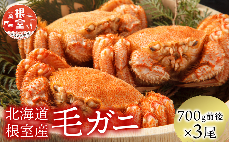 ＜12月21日決済分まで年内配送＞【北海道根室産】毛がに700g前後×3尾 D-21003