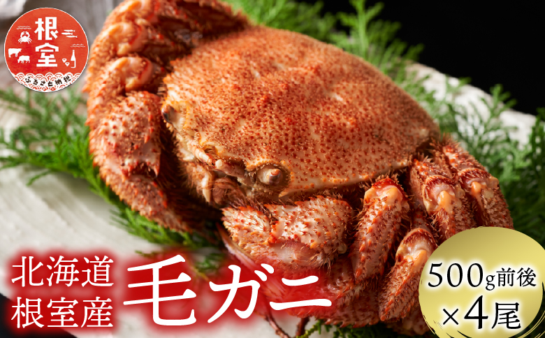 ＜12月21日決済分まで年内配送＞【北海道根室産】毛がに500g前後×4尾 D-21004