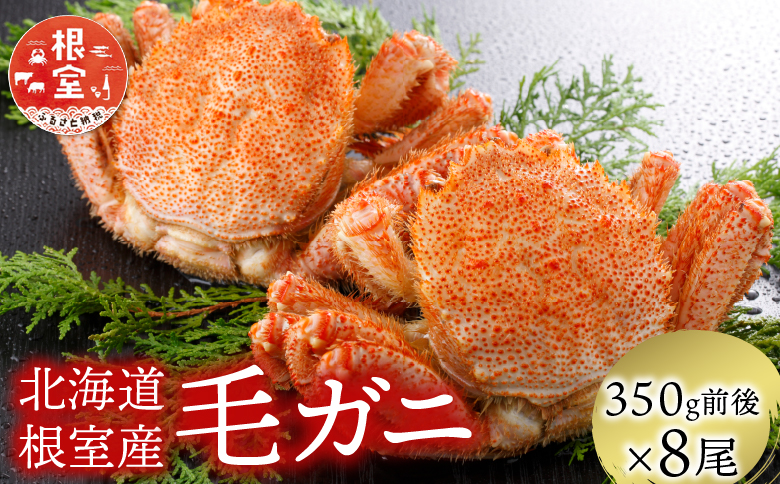 ＜12月21日決済分まで年内配送＞【北海道根室産】毛がに350g前後×8尾 D-21005