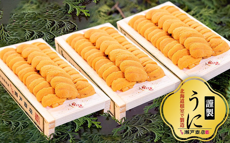 エゾバフンウニ100g×3折 D-29007