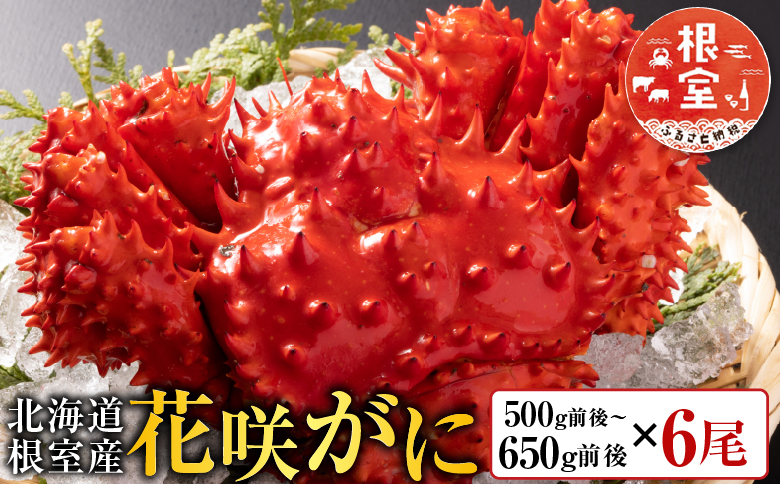 【北海道根室産】花咲かに500～650g×6尾 D-30043