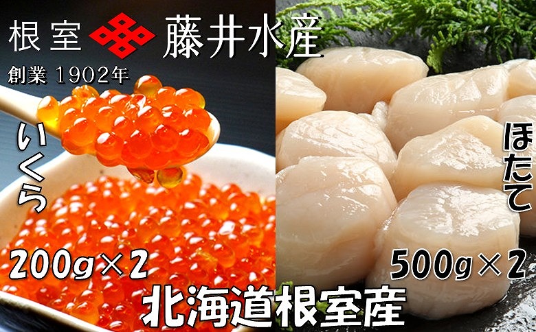 【北海道根室産】いくら醤油漬け200g×2P、お刺身帆立貝柱500g×2P D-42061