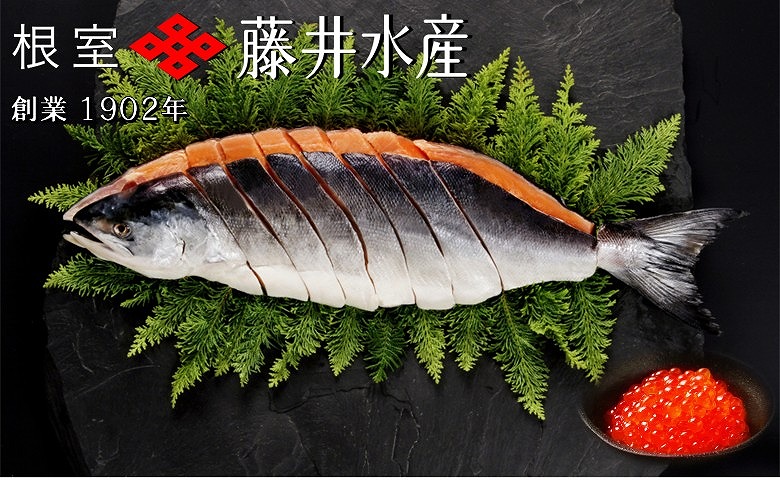 【北海道根室産】時しらず鮭1.5kg×1P・いくら醤油漬け80g×6P D-42067