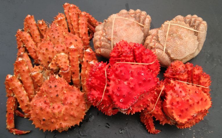 【12/31決済分まで1月中配送】 【北海道根室産】本タラバガニ2尾、花咲ガニ2尾、毛ガニ2尾(3種計2.6kg前後) D-57045