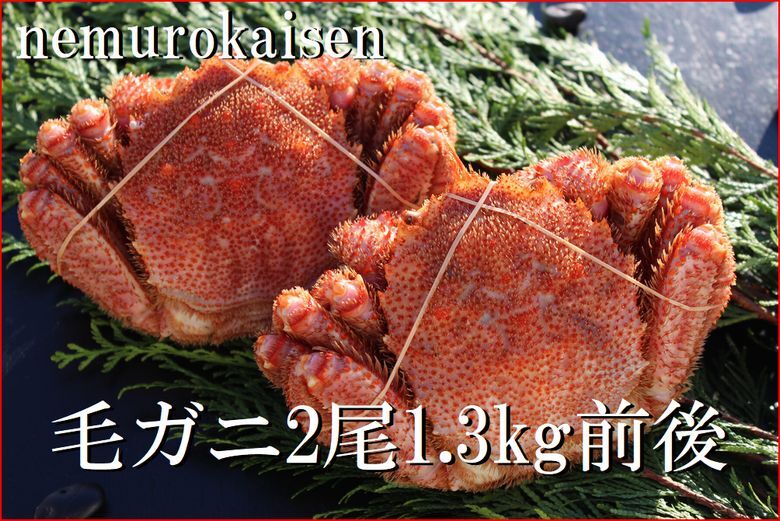 ＜12月21日決済分まで年内配送＞【北海道根室産】毛がに2尾(計1.3kg前後) D-57048