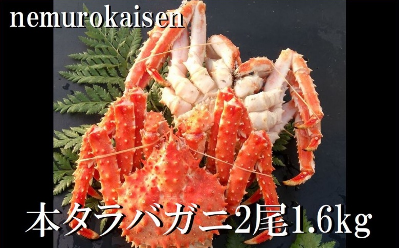 ＜12月21日決済分まで年内配送＞【北海道根室産】本タラバガニ2尾（計1.6kg前後） D-57049