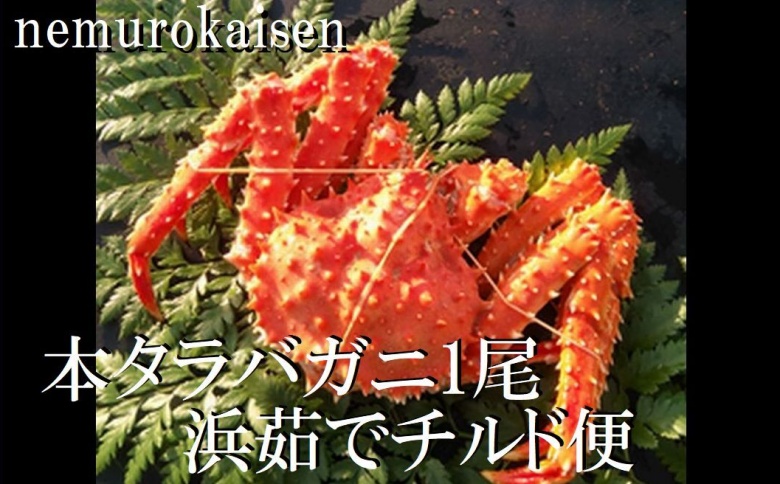 ＜12月21日決済分まで年内配送＞【北海道根室産】(チルド便)本タラバガニ900g前後×1尾 D-57050