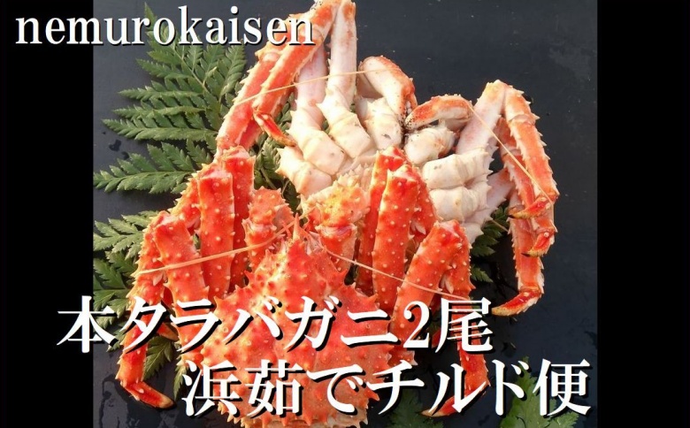 ＜12月21日決済分まで年内配送＞【北海道根室産】(チルド便)本タラバガニ2尾（計1.4kg前後） D-57051