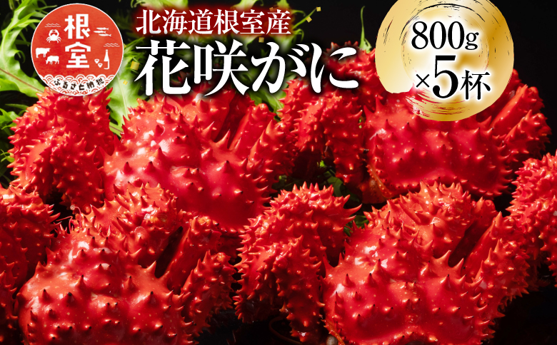 ＜12月14日決済分まで年内配送＞【北海道根室産】花咲かに800g×5尾(計4kg) E-20006