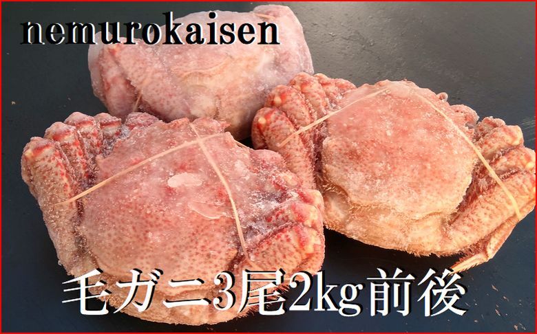 【北海道根室産】毛がに3尾(計2kg前後) E-57007