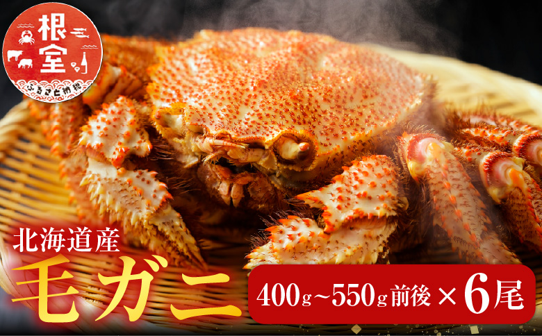 ＜12月21日決済分まで年内配送＞毛かに400g前後～550g前後×6尾 E-70007