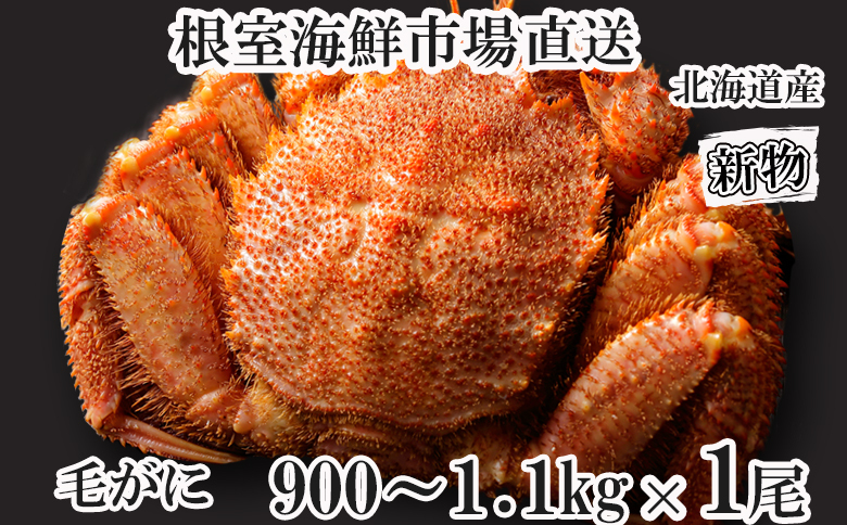 ボイル毛がに900g～1.1kg×1尾 F-11029