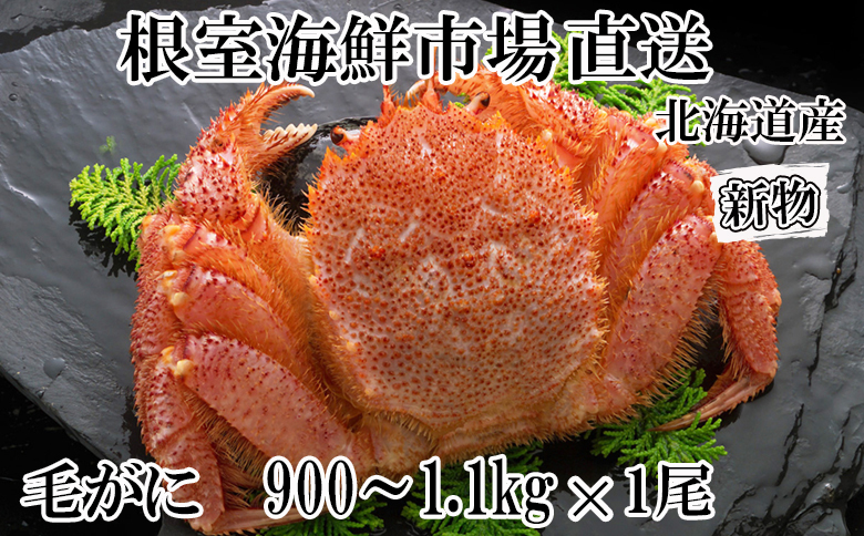 ＜12月10日決済分まで年内配送＞ボイル毛がに900g～1.1kg×1尾 F-14029