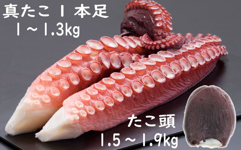 ＜12月21日決済分まで年内配送＞【北海道根室産】真たこ足1～1.3kg・たこ頭1.5～1.9kgセット F-19002