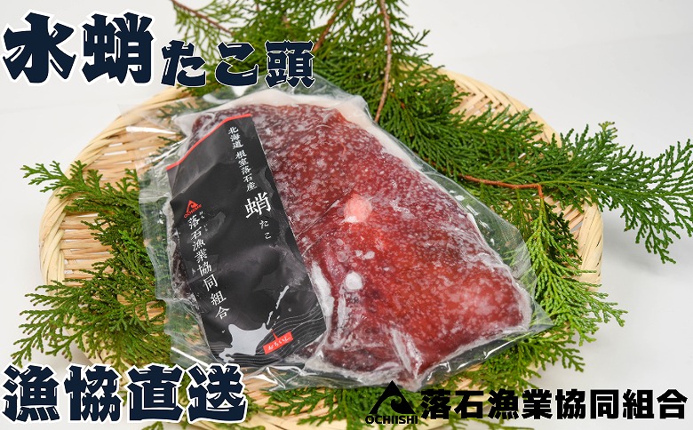 ＜12月14日決済分まで年内配送＞【北海道根室産】ボイル水たこ頭カット10P(計4.5kg) F-20002