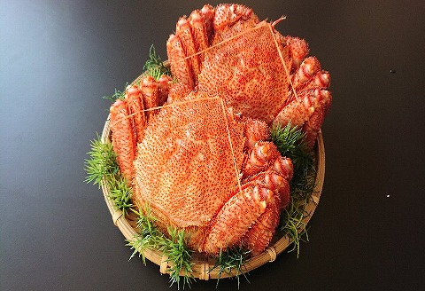 【12/31決済分まで1月中配送】 【北海道根室産】毛がに600g前後×2尾 F-21004