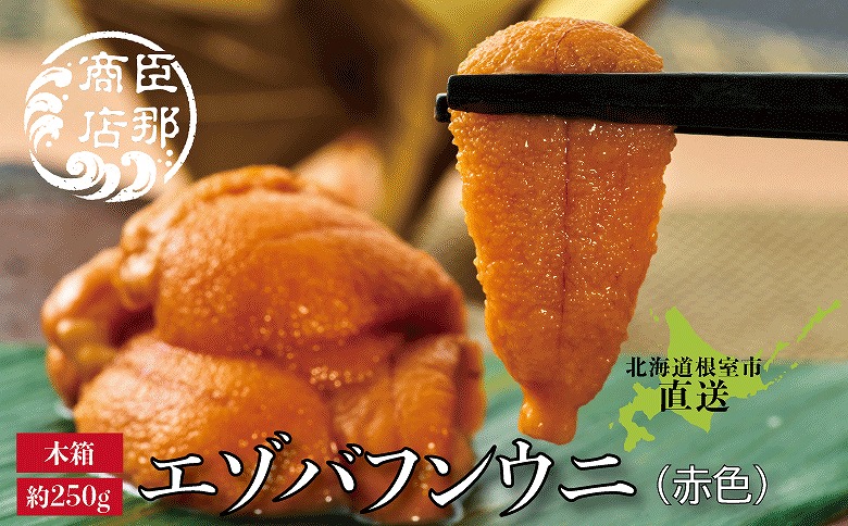 エゾバフンウニ(赤色)約250g×1折 F-22001