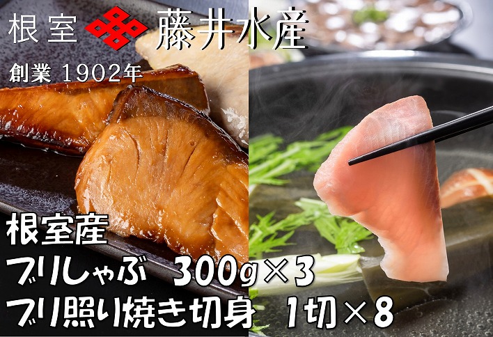 【北海道根室産】＜鮭匠ふじい＞天然ぶりのしゃぶしゃぶ・照焼切身セット F-42006