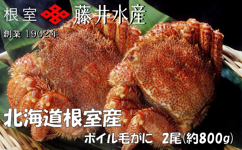 【12/31決済分まで1月中配送】 【北海道根室産】ボイル毛がに2尾(計800g) F-42016